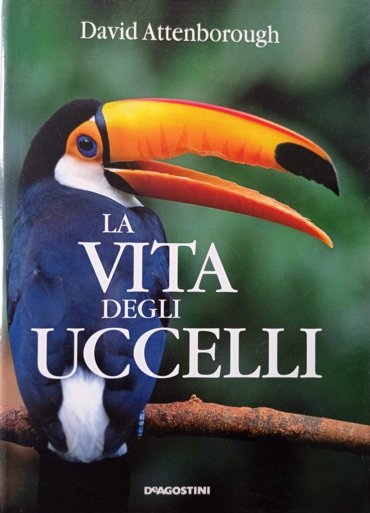 La vita degli uccelli