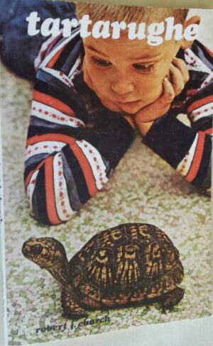 Tartarughe