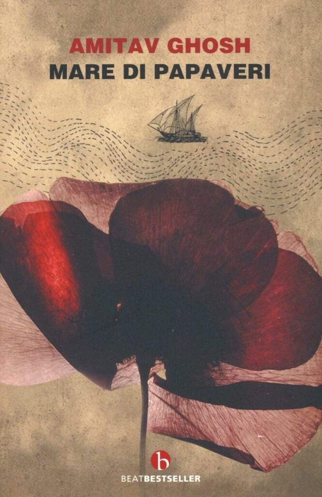 Mare di papaveri