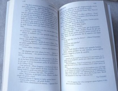 Robin Hood. Il principe dei ladri - immagine 3
