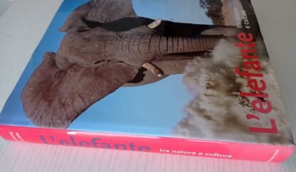 L’elefante tra natura e cultura - immagine 2