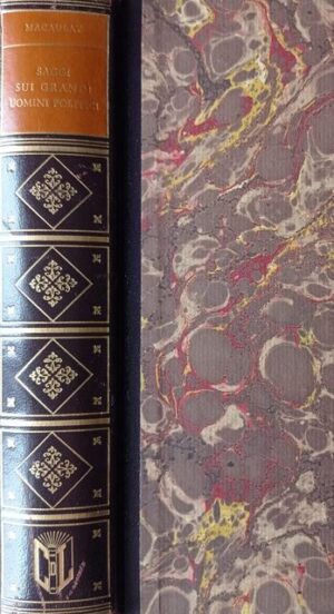 Saggi sui grandi uomini politici