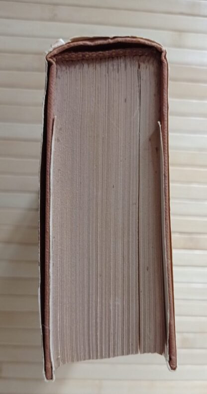 Allegoria e derisione. Prima edizione - immagine 2