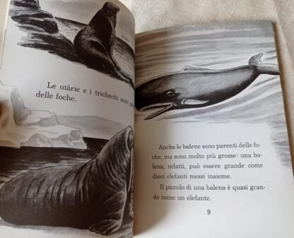 Piccoli e grandi abitatori del mare - immagine 4
