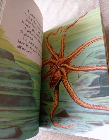 Piccoli e grandi abitatori del mare - immagine 5