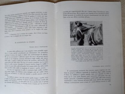 Andare a cavallo - immagine 6