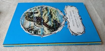 Piccoli e grandi abitatori del mare - immagine 2