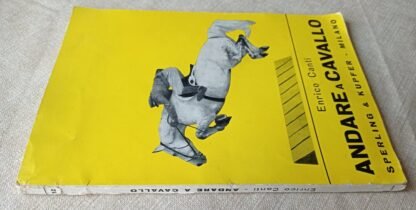 Andare a cavallo - immagine 2