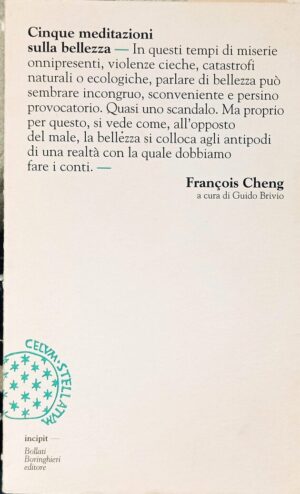 Cinque meditazioni sulla bellezza