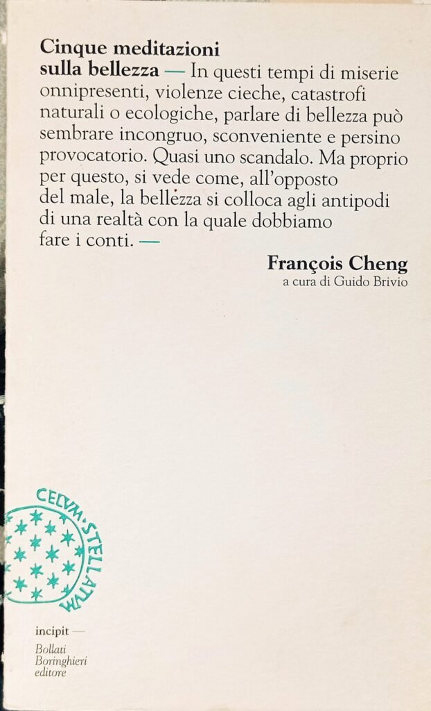 Cinque meditazioni sulla bellezza