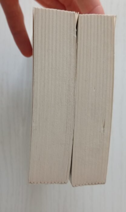 Mimesis. Il realismo nella letteratura occidentale - immagine 3