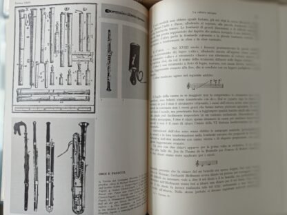 Gli strumenti musicali - immagine 2