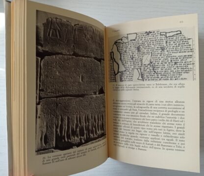 Il faraone trionfante. Ramses II e il suo tempo - immagine 4