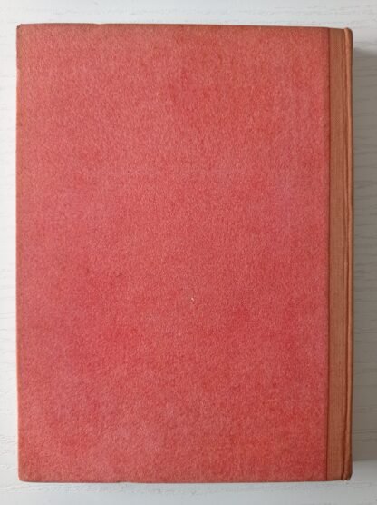 Alice nel paese delle meraviglie - immagine 5