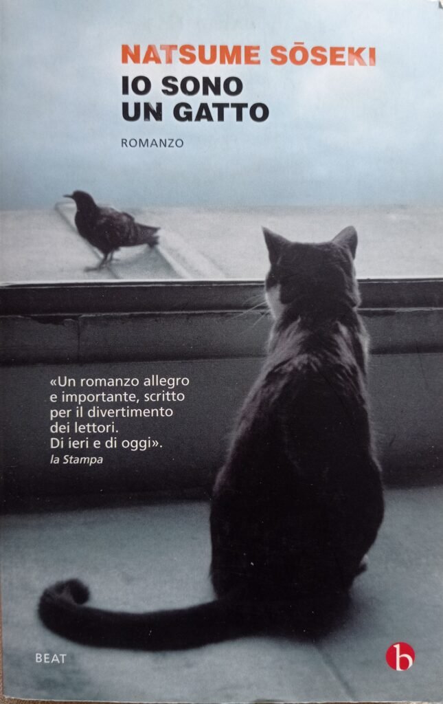 Io sono un gatto