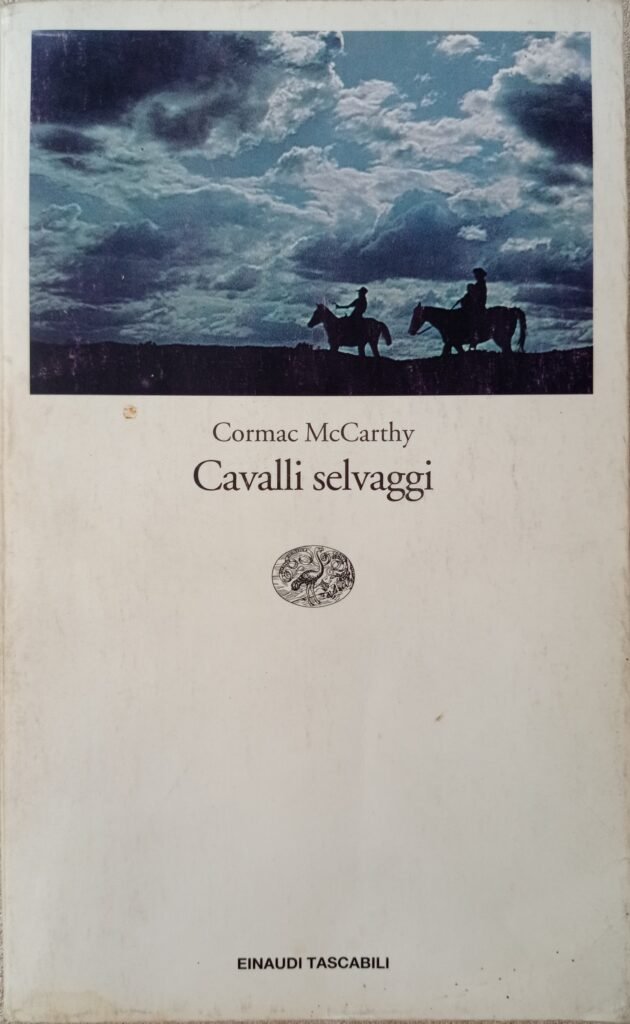 Cavalli selvaggi
