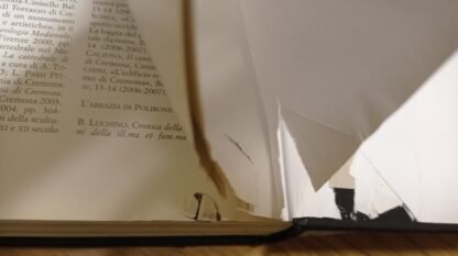 Lombardia romanica. I grandi cantieri - immagine 5