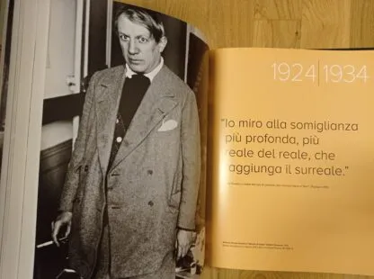Picasso. Capolavori dal Museo Nazionale Picasso di Parigi - immagine 3