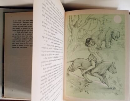 Il libro della jungla - immagine 2