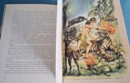 Il libro della jungla - immagine 3