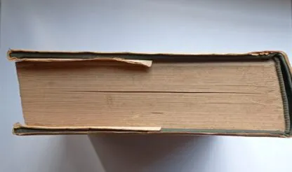 Grandi speranze - immagine 5