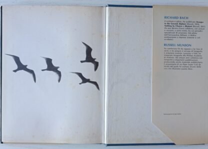 Il gabbiano Jonathan Livingston - immagine 2