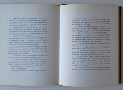 Il gabbiano Jonathan Livingston - immagine 5