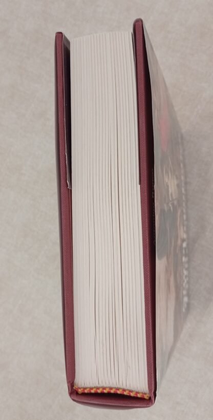 Storia della Repubblica Ligure 1797-1799 - immagine 3