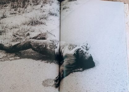Dall’Africa - immagine 2