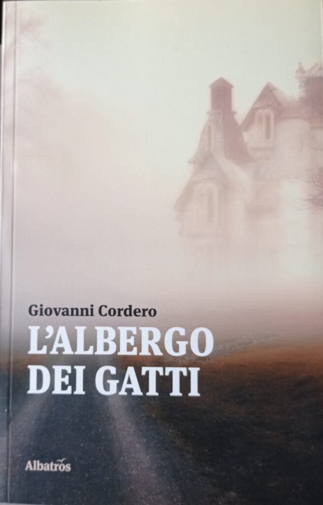 L’albergo dei gatti