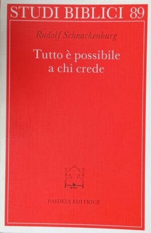 Tutto è possibile a chi crede. Discorso della montagna e Padrenostro nell’intenzione di Gesù