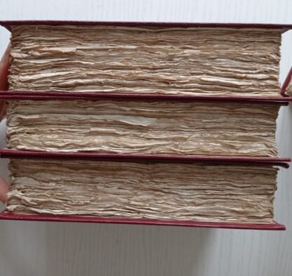 Codice longobardo diplomatico dal DLXVIII al DCCLXXIV con note storiche osservazioni e dissertazioni - immagine 2