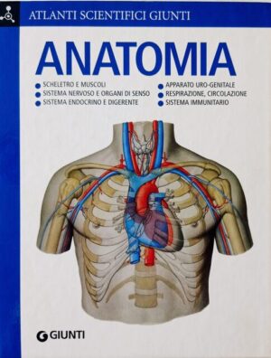 Anatomia