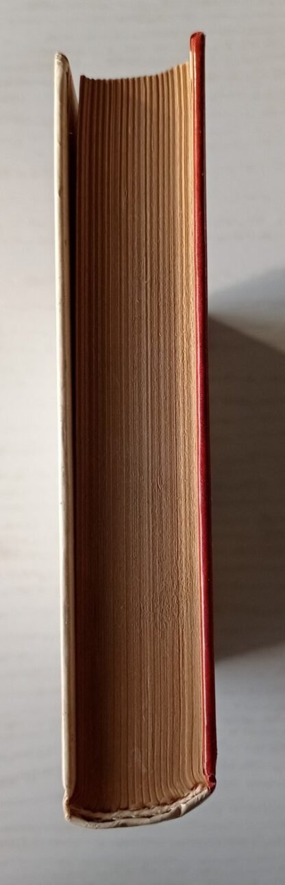 La ragazza chiamata carità - immagine 3