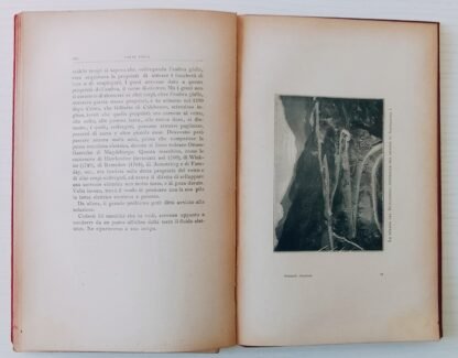 Amatevi! (Memorie di un moscone) - immagine 8