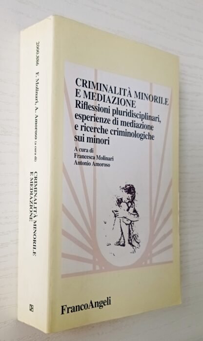 Criminalità minorile e mediazione. Riflessioni pluridisciplinari, esperienze di mediazione e ricerche criminologiche sui minori - immagine 2