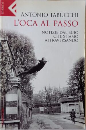L’oca al passo. Notizie dal buio che stiamo attraversando