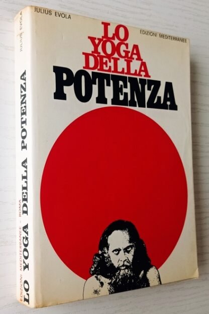 Lo yoga della potenza. Saggio sui Tantra - immagine 2