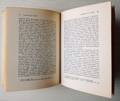Lo yoga della potenza. Saggio sui Tantra - immagine 4