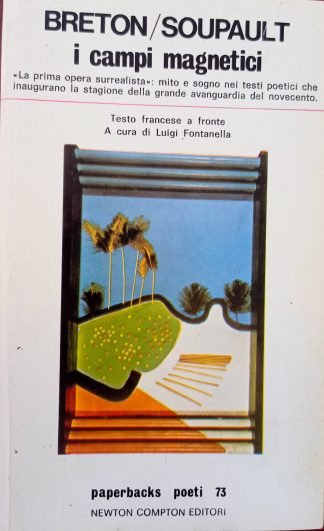I campi magnetici