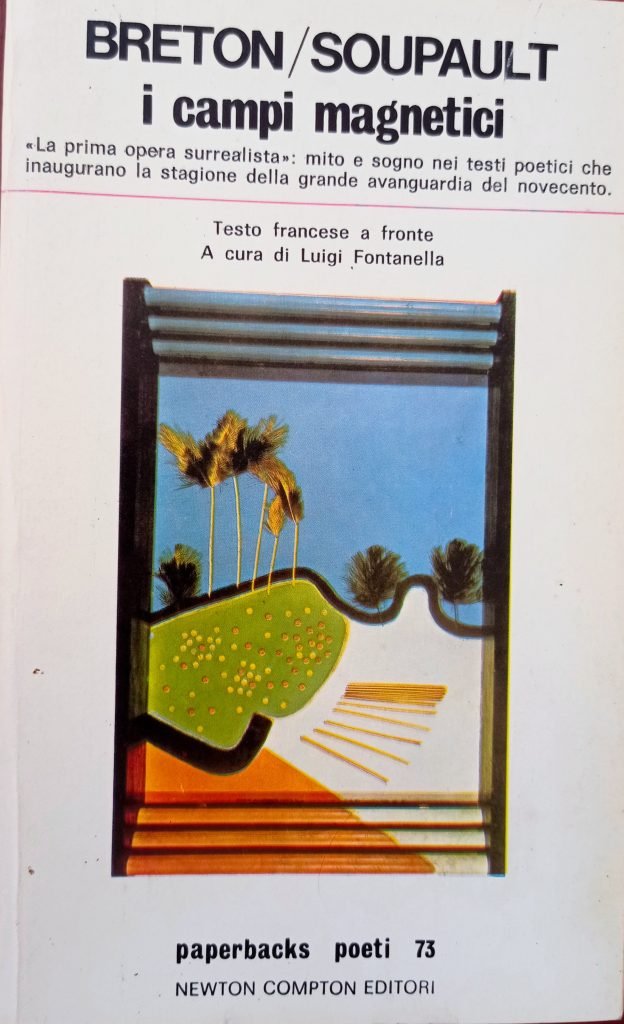 I campi magnetici