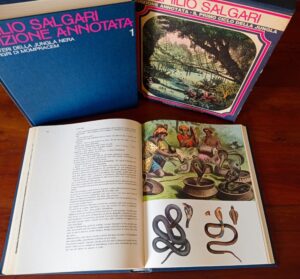 Il primo ciclo della jungla