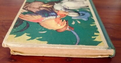 Novelle - immagine 3