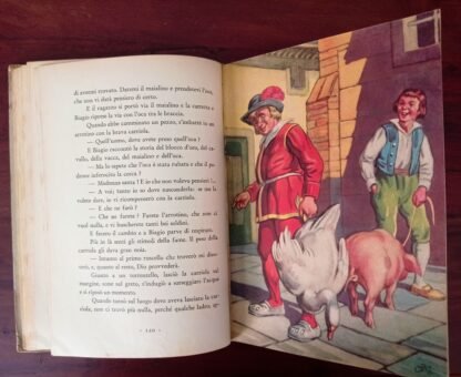 Novelle - immagine 4