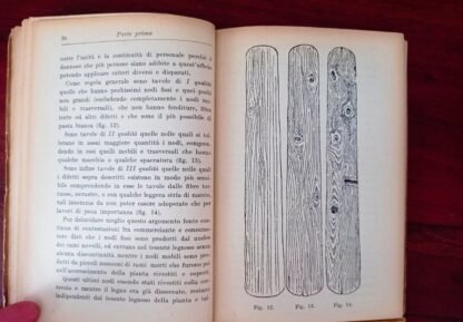 Legnami indigeni ed esotici nei loro usi e provenienze - immagine 7