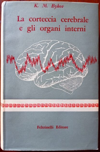 La corteccia cerebrale e gli organi interni