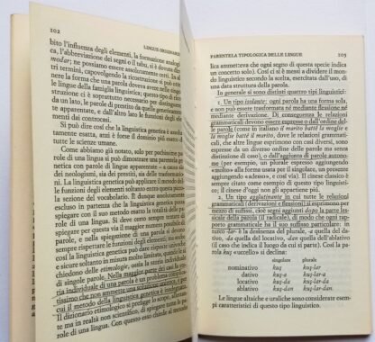 Il linguaggio - immagine 2