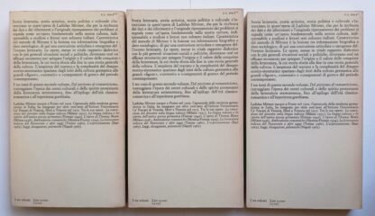 Storia della letteratura tedesca. Dal pietismo al romanticismo (1700 - 1820) - immagine 2