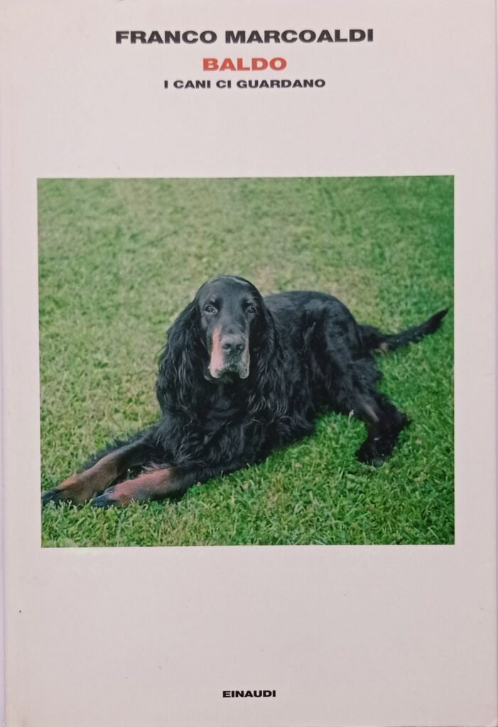 Baldo. I cani ci guardano