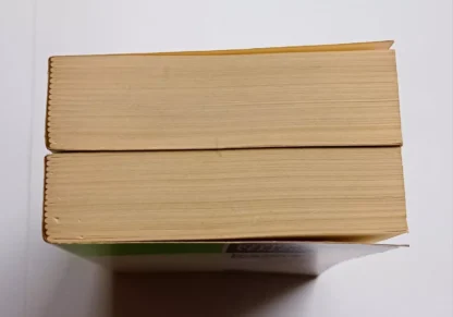 Storia della letteratura tedesca Dai primordi pagani all’età barocca (dal 750 al 1700 circa) - immagine 2